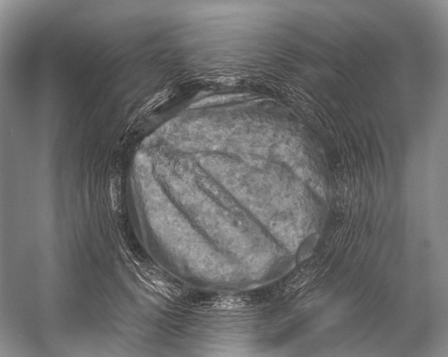 X0000058800656200510171348