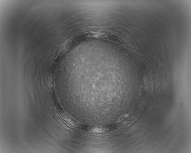 X0000058800657200510171348