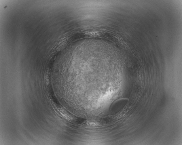 X0000058800658200510171348