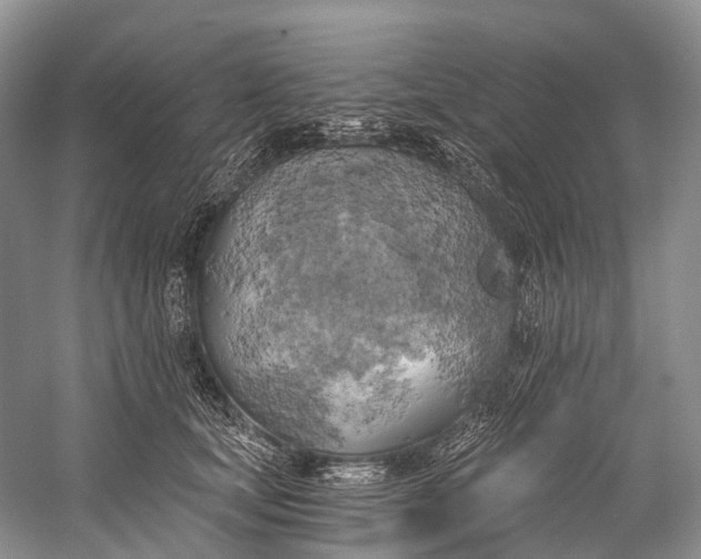 X0000058800659200510171348