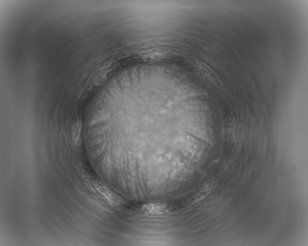 X0000058800660200510171348