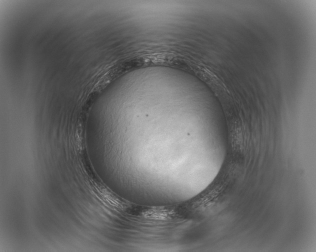 X0000058800661200510171348