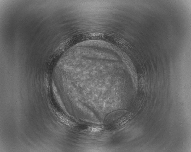 X0000058800662200510171348