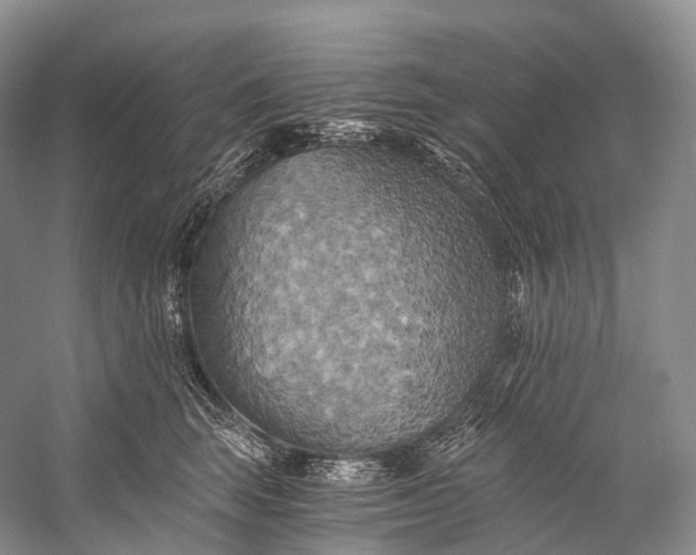 X0000058800663200510171348