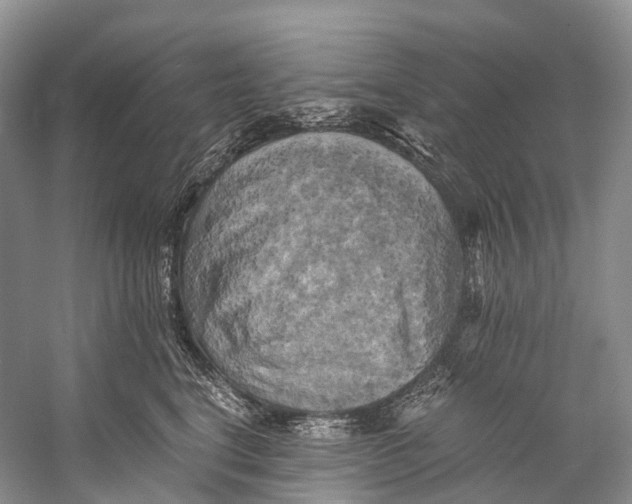 X0000058800664200510171348