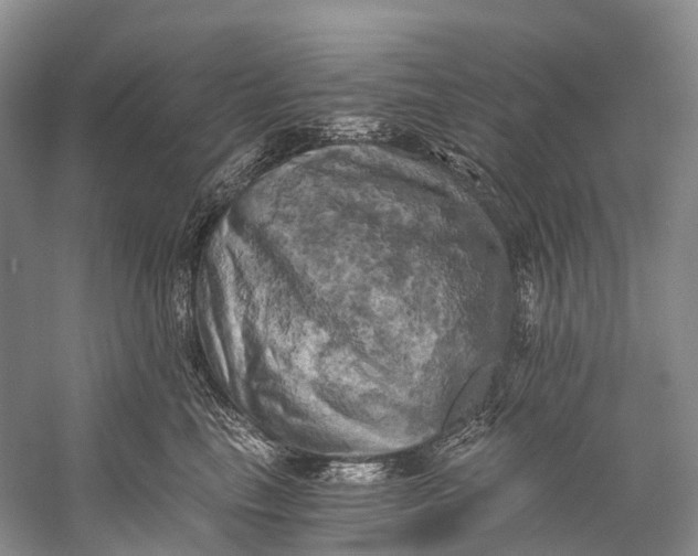 X0000058800665200510171348