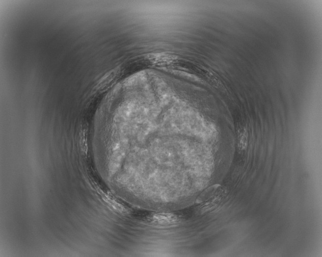 X0000058800666200510171348