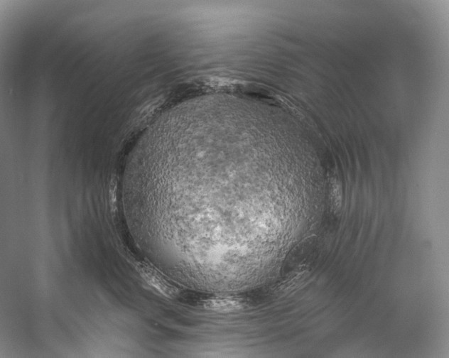 X0000058800668200510171348