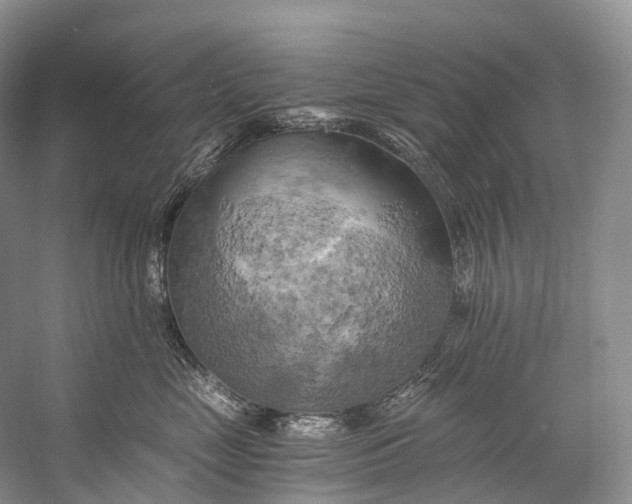 X0000058800669200510171348