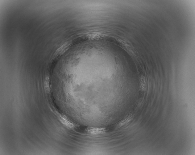 X0000058800670200510171348