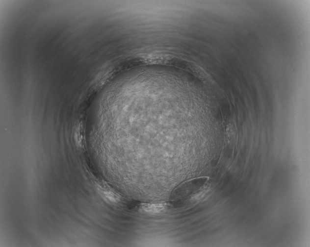 X0000058800671200510171348