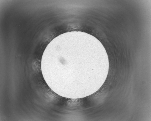 X0000058800672200510171348