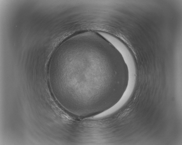 X0000058800673200510171348