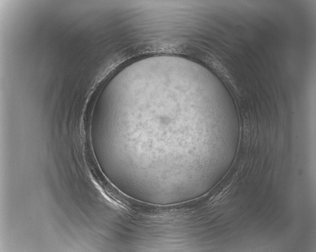 X0000058800674200510171348