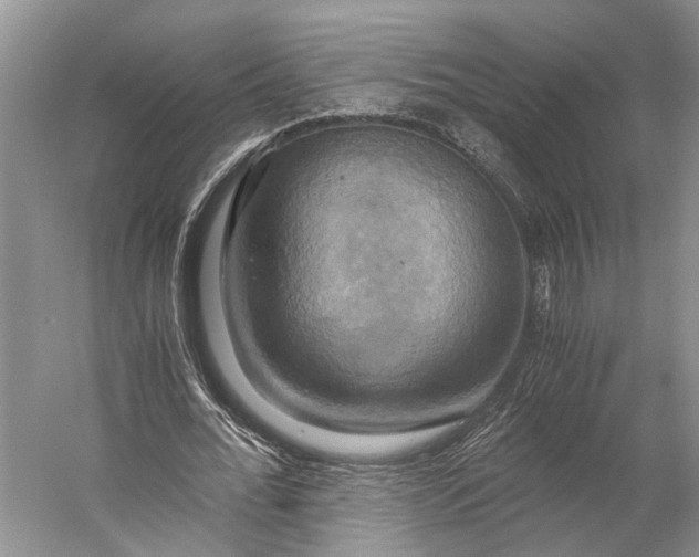 X0000058800676200510171347