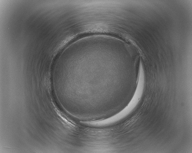 X0000058800677200510171347