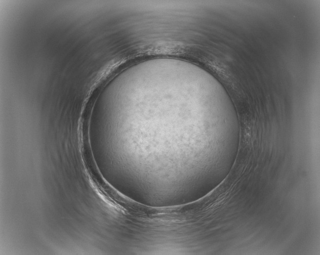 X0000058800678200510171347