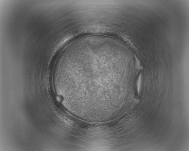 X0000058800679200510171347