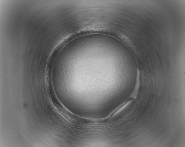 X0000058800680200510171347