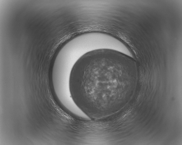 X0000058800681200510171347