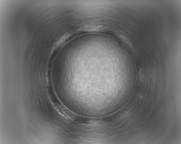 X0000058800682200510171347