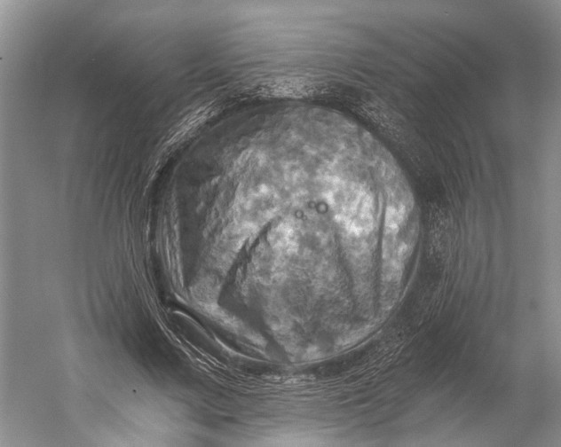 X0000058800683200510171347