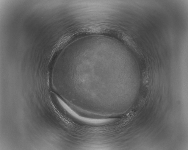 X0000058800685200510171347