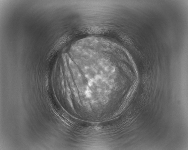 X0000058800687200510171347