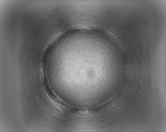 X0000058800688200510171347