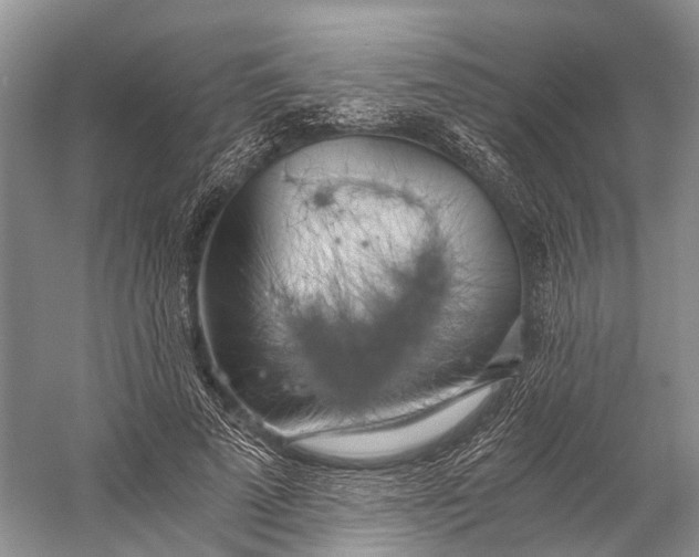 X0000058800689200510171347