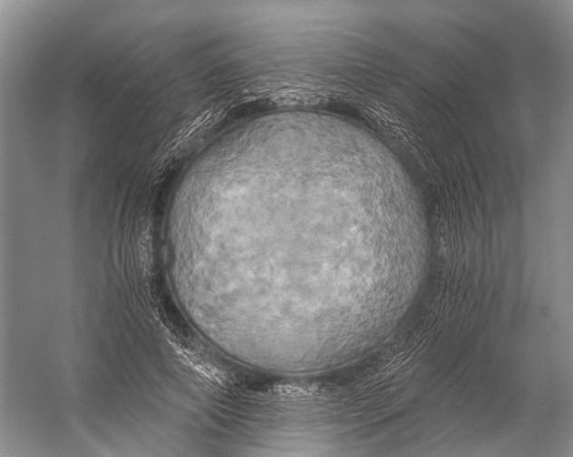 X0000058800690200510171347