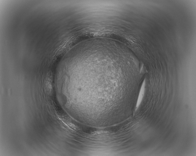 X0000058800691200510171347