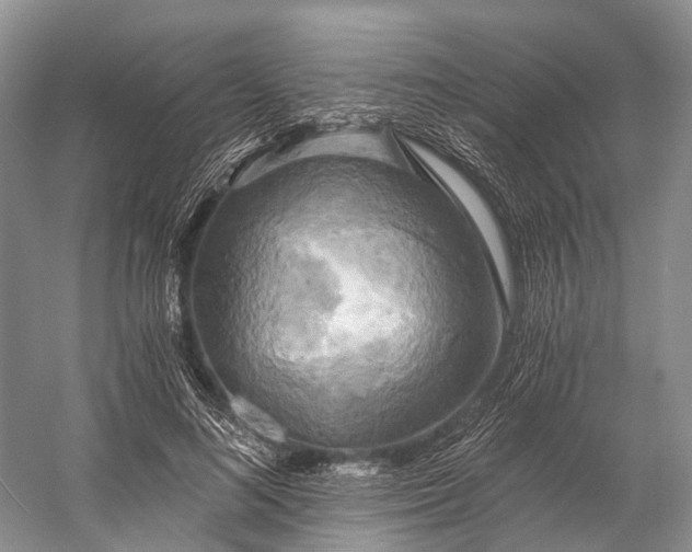 X0000058800692200510171347