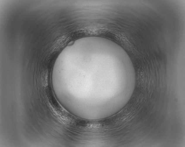 X0000058800694200510171347