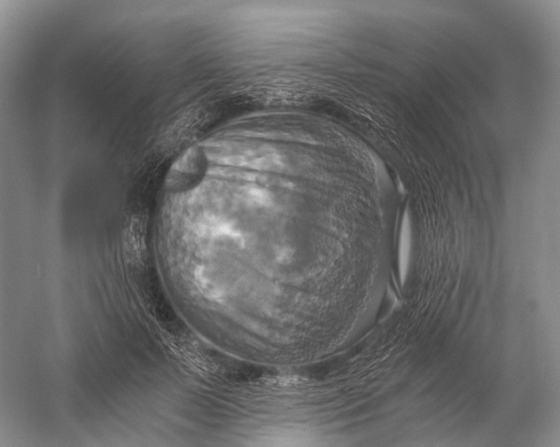 X0000058800695200510171347