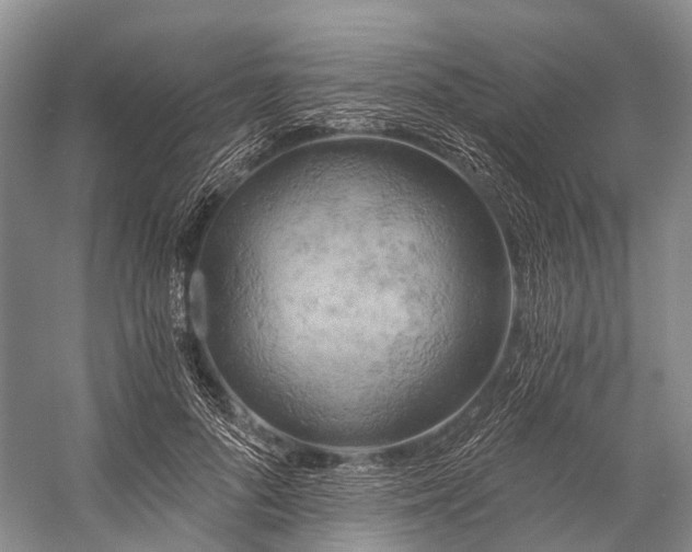 X0000058800696200510171347