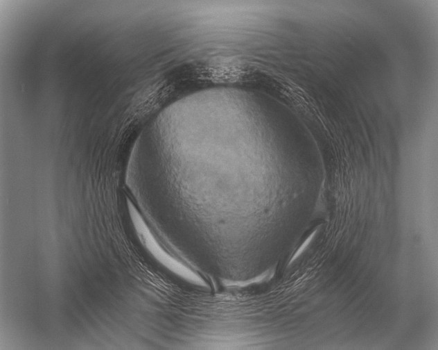 X0000058800697200510171347