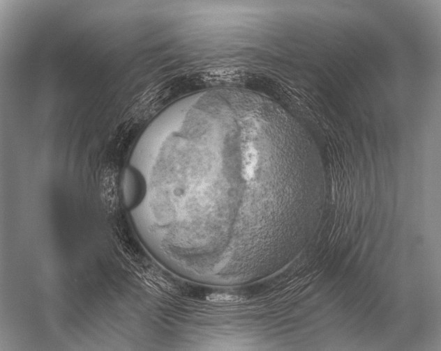 X0000058800699200510171347