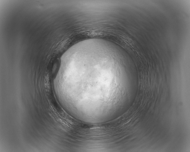 X0000058800700200510171347