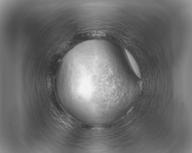 X0000058800704200510171347