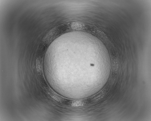 X0000058800705200510171347