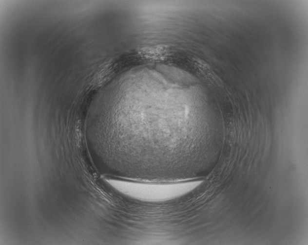 X0000058800707200510171347