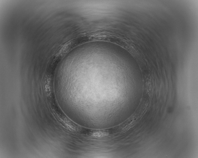 X0000058800708200510171347