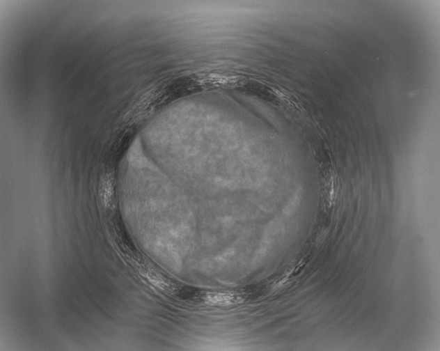 X0000058800709200510171347