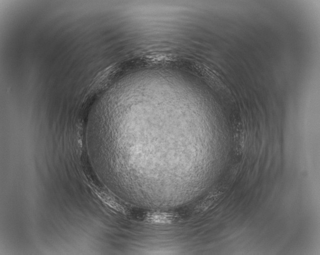 X0000058800710200510171347