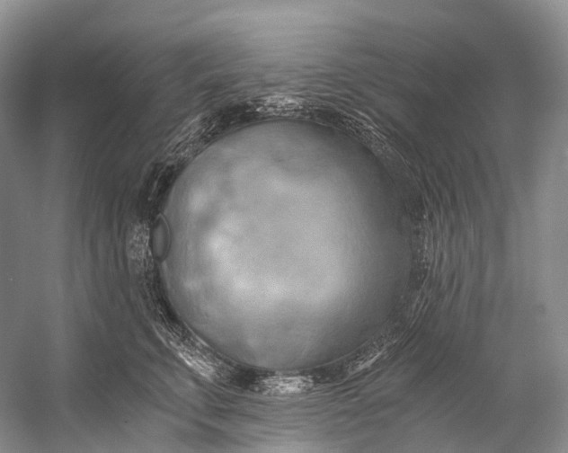 X0000058800711200510171347