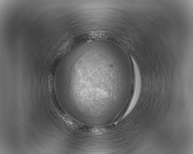 X0000058800712200510171347