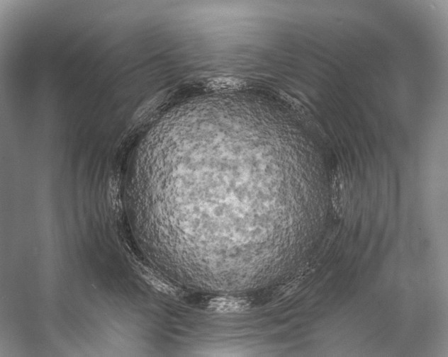 X0000058800714200510171347