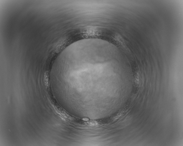 X0000058800715200510171347