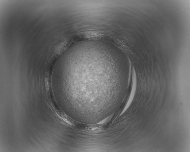 X0000058800716200510171347